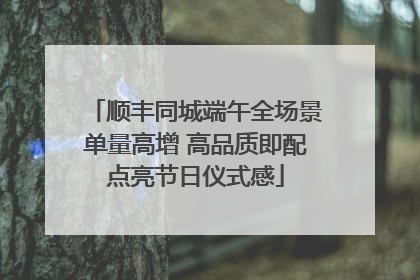 顺丰同城端午全场景单量高增 高品质即配点亮节日仪式感