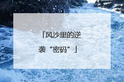 风沙里的逆袭“密码”