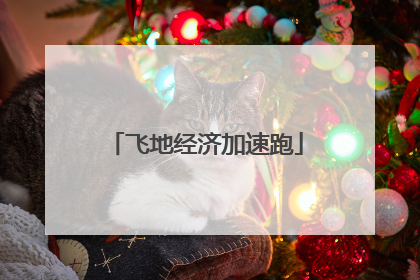 飞地经济加速跑