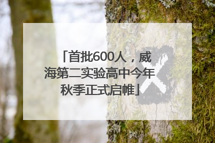 首批600人，威海第二实验高中今年秋季正式启帷