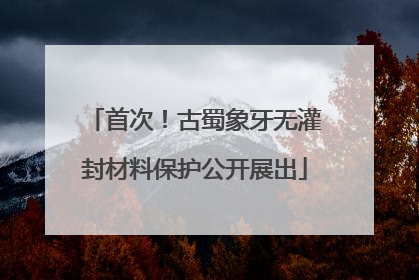 首次！古蜀象牙无灌封材料保护公开展出