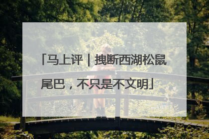 马上评｜拽断西湖松鼠尾巴，不只是不文明