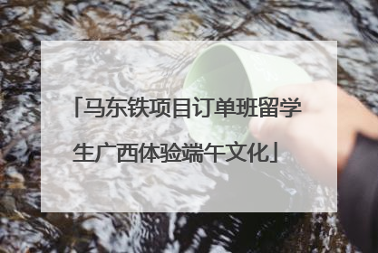 马东铁项目订单班留学生广西体验端午文化