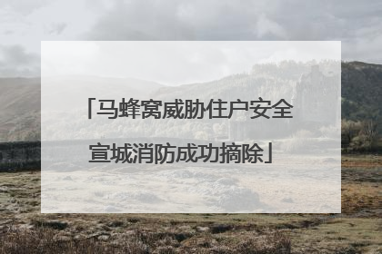马蜂窝威胁住户安全 宣城消防成功摘除