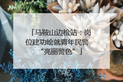 马鞍山边检站：岗位建功绘就青年民警“亮丽警色”