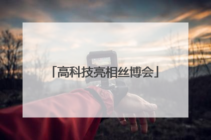 高科技亮相丝博会