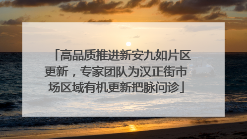 高品质推进新安九如片区更新，专家团队为汉正街市场区域有机更新把脉问诊