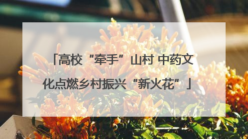 高校“牵手”山村 中药文化点燃乡村振兴“新火花”