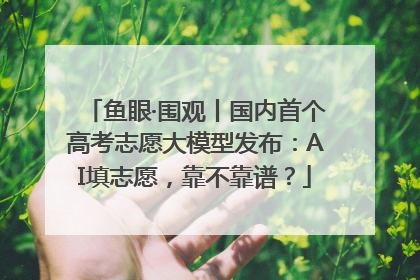 鱼眼·围观丨国内首个高考志愿大模型发布：AI填志愿，靠不靠谱？