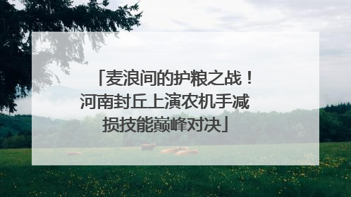 麦浪间的护粮之战！河南封丘上演农机手减损技能巅峰对决