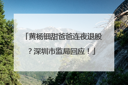 黄杨钿甜爸爸连夜退股？深圳市监局回应！