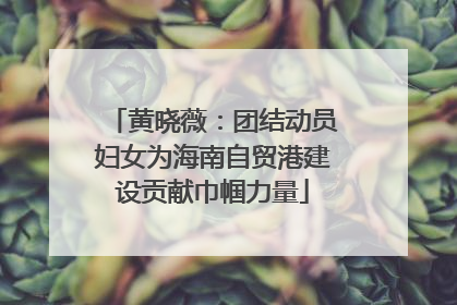 黄晓薇：团结动员妇女为海南自贸港建设贡献巾帼力量