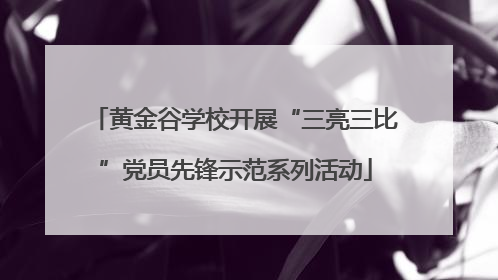 黄金谷学校开展“三亮三比”党员先锋示范系列活动