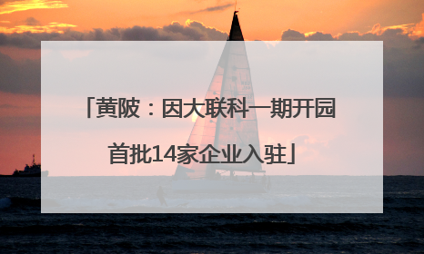 黄陂：因大联科一期开园 首批14家企业入驻
