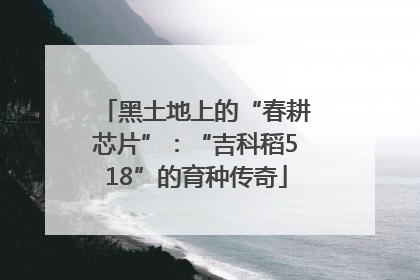 黑土地上的“春耕芯片”：“吉科稻518”的育种传奇