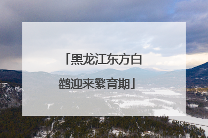 黑龙江东方白鹳迎来繁育期