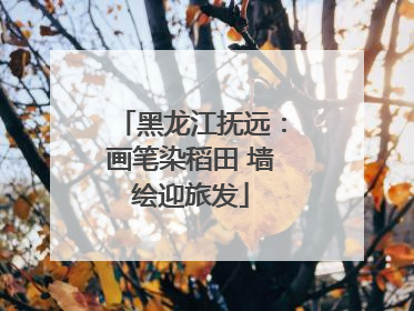 黑龙江抚远：画笔染稻田 墙绘迎旅发