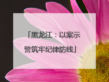 黑龙江：以案示警筑牢纪律防线