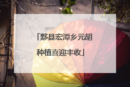 黟县宏潭乡元胡种植喜迎丰收