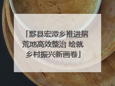 黟县宏潭乡推进撂荒地高效整治 绘就乡村振兴新画卷