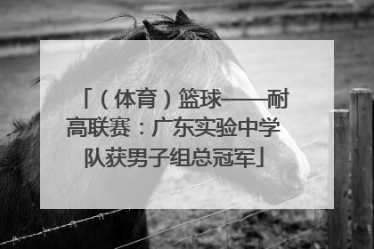 （体育）篮球——耐高联赛：广东实验中学队获男子组总冠军