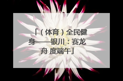 （体育）全民健身——银川：赛龙舟 度端午