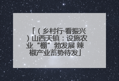 （乡村行·看振兴）山西天镇：设施农业“棚”勃发展 辣椒产业蓄势待发