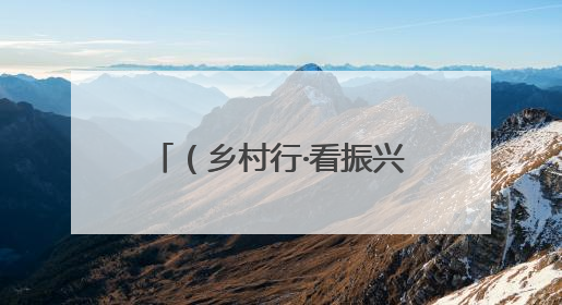 （乡村行·看振兴）山西高平：金银花里采“金银” 花香溢满致富路