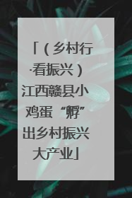 （乡村行·看振兴）江西赣县小鸡蛋“孵”出乡村振兴大产业