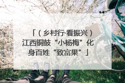（乡村行·看振兴）江西铜鼓“小杨梅”化身百姓“致富果”