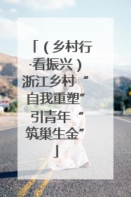 （乡村行·看振兴）浙江乡村“自我重塑” 引青年“筑巢生金”