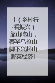 （乡村行·看振兴）靠山吃山，赛罕乌拉山脚下兴起山野菜经济