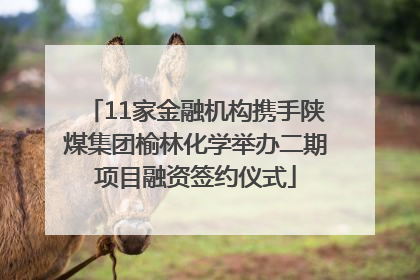 11家金融机构携手陕煤集团榆林化学举办二期项目融资签约仪式