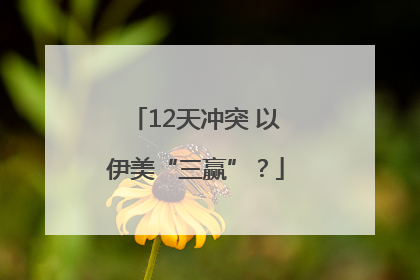 12天冲突 以伊美“三赢”？