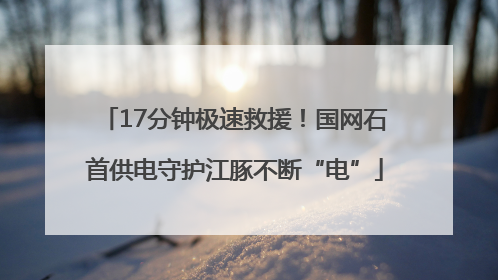 17分钟极速救援！国网石首供电守护江豚不断“电”