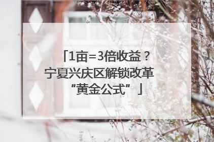 1亩=3倍收益？宁夏兴庆区解锁改革“黄金公式”
