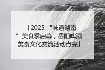 2025 “味道湖南”美食季启幕，岳阳啤酒美食文化交流活动点亮
