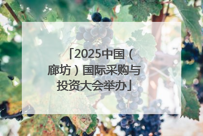 2025中国（廊坊）国际采购与投资大会举办