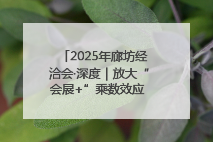 2025年廊坊经洽会·深度｜放大“会展+”乘数效应 打造消费新场景