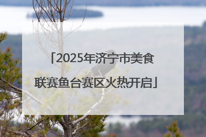 2025年济宁市美食联赛鱼台赛区火热开启