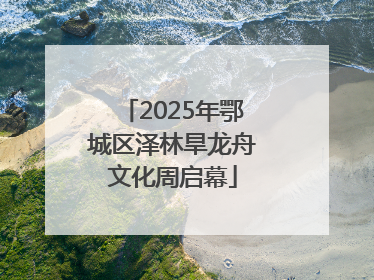 2025年鄂城区泽林旱龙舟文化周启幕