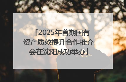2025年首期国有资产质效提升合作推介会在沈阳成功举办