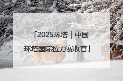 2025环塔｜中国环塔国际拉力赛收官