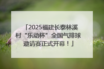 2025福建长泰林溪村“乐动杯”全国气排球邀请赛正式开幕！
