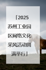 2025苏州工业园区网络文化采风活动圆满举行