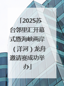 2025苏台邻里汇开幕式暨海峡两岸（洋河）龙舟邀请赛成功举办