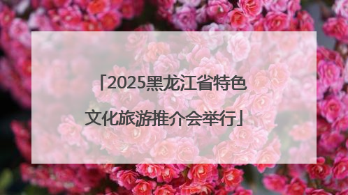 2025黑龙江省特色文化旅游推介会举行