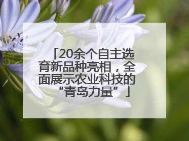 20余个自主选育新品种亮相，全面展示农业科技的“青岛力量”