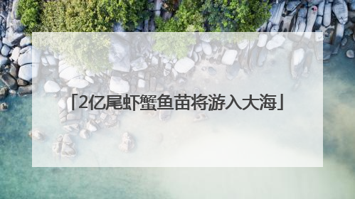 2亿尾虾蟹鱼苗将游入大海