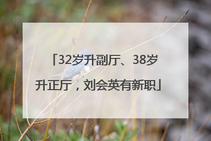 32岁升副厅、38岁升正厅，刘会英有新职